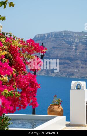 beautiful bougainvillea flower with awesome colors in Santorini Greek island with deep blue sea and sky. Caldera santorini view in the background Stock Photo