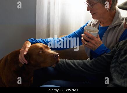 Senior Couple Sitting On Sofa At Home Stroking Pet Dog Stock Photo