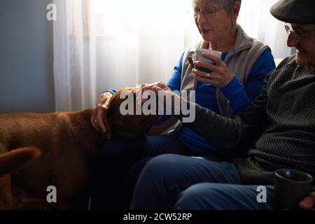 Senior Couple Sitting On Sofa At Home Stroking Pet Dog Stock Photo