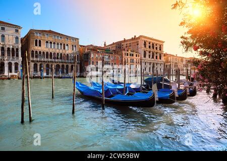 Several gondolas moored by the pier on Grand Canal in Venice, Italy. Stock Photo