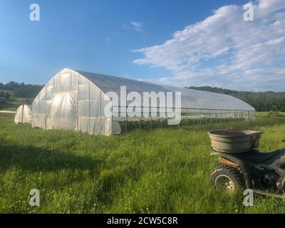 Greenhouses on organic vegetable farm in sunny grassy field off road vehicle in foreground big blue sky young plants visible in interior. Stock Photo