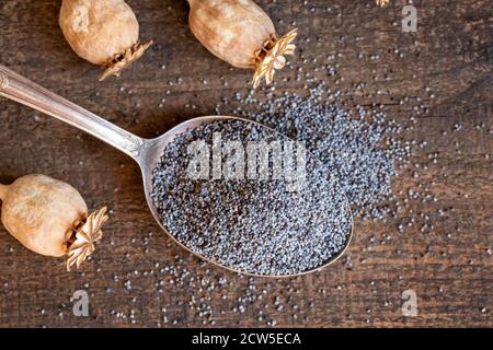 Poppy seeds on a metal spoon, top view Stock Photo