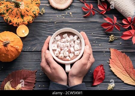 Female hands hold cocoa cup marshmallow on autumn fall cozy background top view. Stock Photo
