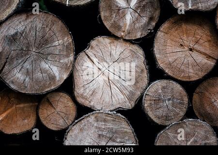 close up of the grain on piled logs in fall Stock Photo