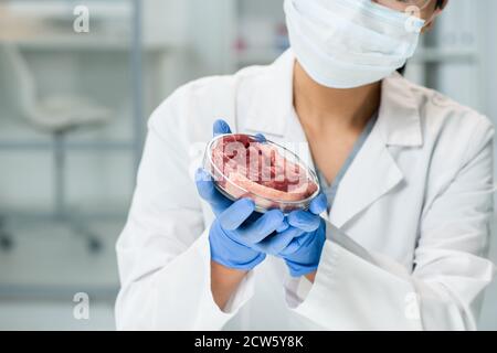 Gloved hands of young female scientific researcher piece of raw vegetable meat Stock Photo