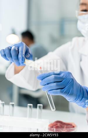 Gloved hands of contemporary researcher putting sample of raw meat into flask Stock Photo