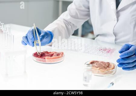 Gloved hands of researcher in whitecoat taking tiny sample of raw meat Stock Photo