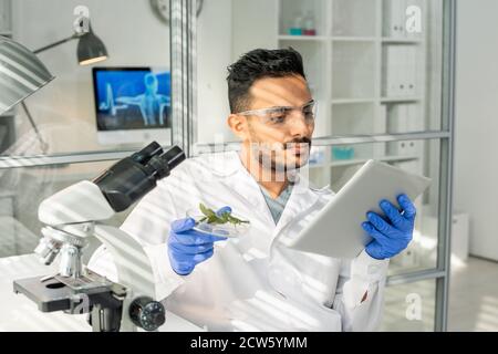 Young pensive researcher in gloves and eyeglasses looking through online data Stock Photo
