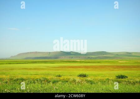 A picturesque valley with tall grass at the foot of a mountain range. Salbyk steppe, Khakassia, South Siberia, Russia. Stock Photo