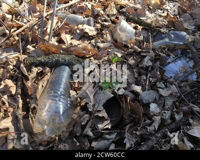 Plastic bottle in green grass on grass Stock Photo