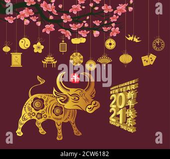 Chinese new year 2021 with lantern. Year of the Ox (Chinese translation Happy chinese new year 2021, year of ox)