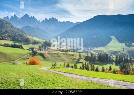 Landscape of early autumn on the church Santa Magdalena in northern Italy on the slopes of the Dolomites in the valley of Val di Funes. Stock Photo