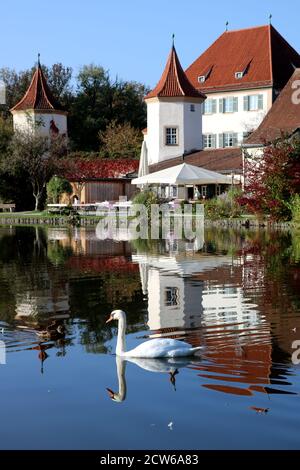 swan and castle Blutenburg Munich Germany in autumn Stock Photo