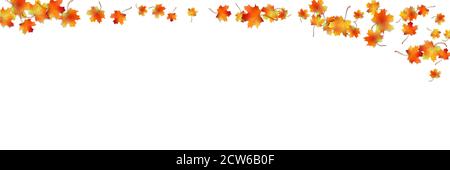 Horizontal pattern bright colorful maple autumn foliage with shadow isolated on white. Graphic design autumn symbol. Red orange yellow dry autumn leav Stock Vector