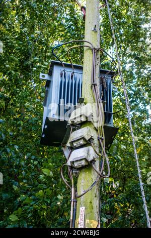 Pole mounted rural distribution transformer in woods Stock Photo