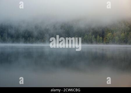 Scenic view of foggy lake and pine forest at dawn in the wilderness. Sfanta Ana,Romania,Transylvania. Stock Photo