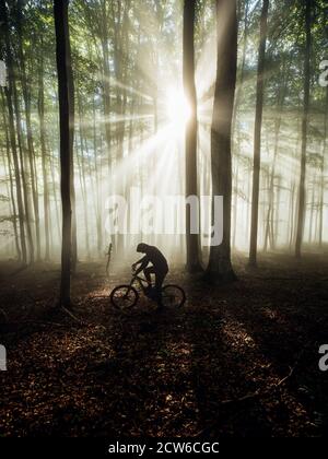 Male athlete mountainbiker rides a bicycle along a forest trail at sunrise in foggy woodland, mysterious scenic view. Stock Photo