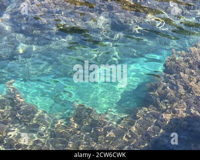 Crystal clear water Adriatic sea in Montenegro. Turquoise clean ocean water. Algae and pebbles on seabed. Marine background.Scenic seascape underwater Stock Photo