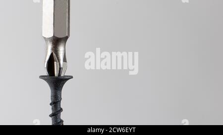Self-cutters and screwdriver on a gray background with space for text. Screw with thread - fasteners for construction, tools and accessories for repai Stock Photo