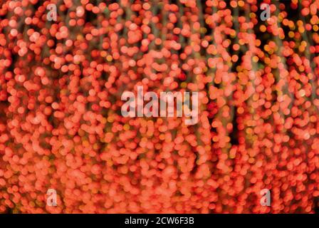 Abstract Blurred Orange Red Illuminated Decorative Lights for Background or Banner Stock Photo