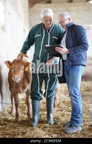 Breeder meeting with financial advisor in barn Stock Photo