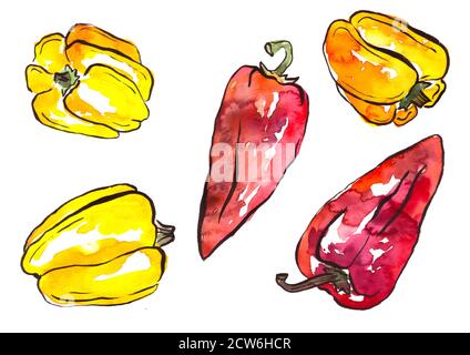 Set of paprika peppers paint with watercolors on white background. illustration of vegetable Stock Photo