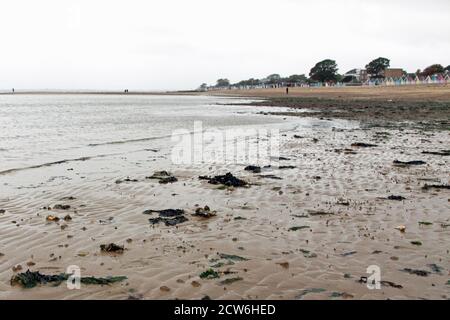 Colourful beach huts on Mersea Isand Essex England Stock Photo