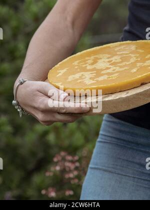 Woman holding yellow rounded piece of melted beeswax. Blurry background. Stock Photo