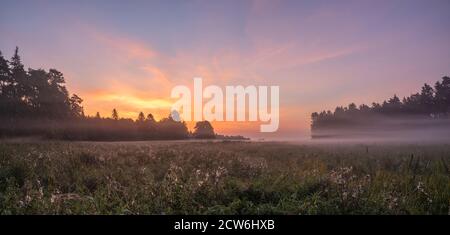 wonderful, misty sunrise over a meadow in the Swidwie reserve in Poland Stock Photo