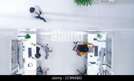 Top Down Shot of Big Busy Corporate Office with Two Rows off Businessmen and Businesswomen Working on Desktop Computers. Bright Open Space Office with Stock Photo