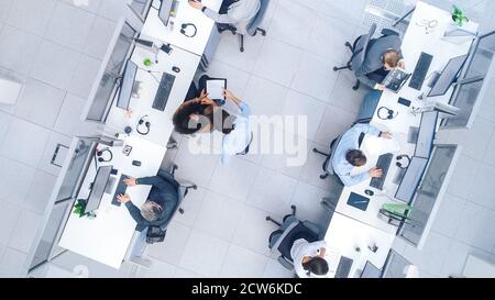 Top Down Shot of Big Busy Corporate Office with Tow Rows off Businessmen and Businesswomen Working on Desktop Computers. Bright Open Space Office with Stock Photo