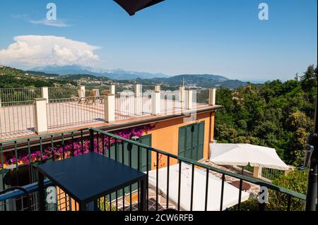 La Spezia, Liguria, Italy. June 2020. Beautiful view from the terrace of a residence on the hill: it is completely covered by the green of the olive g Stock Photo