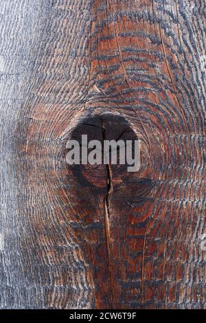 Texture of an old wooden board with a knot in the center Stock Photo
