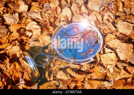 Reflection of a blue sky with red autumn foliage in a mirror, lying on fallen yellow leaves. Stock Photo