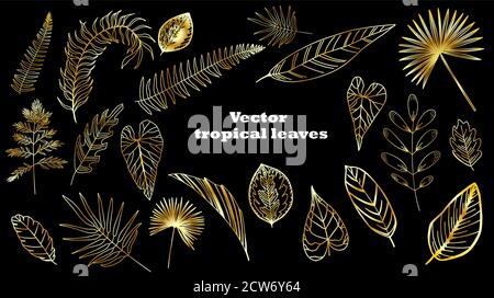 Set of tropical golden leaves. Palm leaves isolated Stock Vector