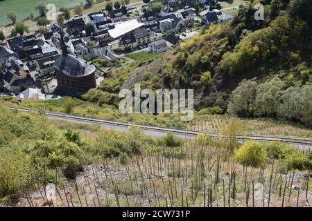 vineyards in Mosel valley near Valwig Stock Photo