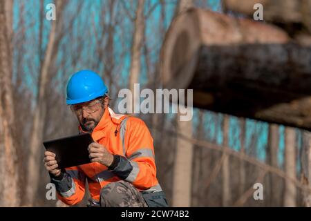 Forestry technician using digital tablet computer in forest for logging data collecting during deforestation Stock Photo