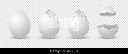 Brocken eggs. Crack eggshell. Vector realistic break white shell on transparent background. Stock Vector