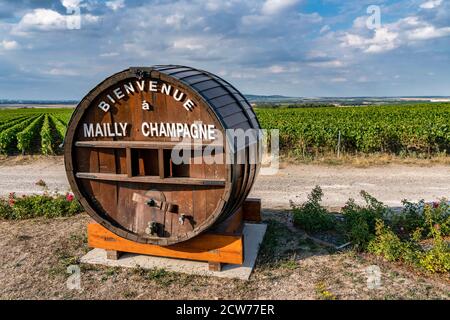Weinanbau in der Champagne, Montagne de Reims, Route du Champagne, Mailly Champagne, Frankreich Stock Photo