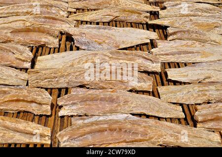 Rows of fish drying in the sun laid out on a bamboo slatted platform. Stock Photo
