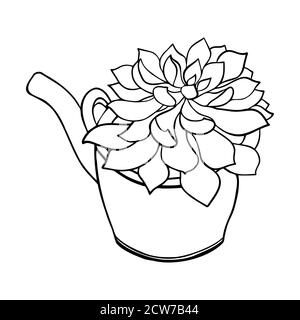 Black line succulent in teapot. Cute vector cactus silhouette. Hand drawn Lovely home plant.  Stock Vector