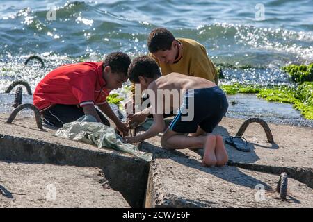 Egyptian boys try to catch crabs from between the giant concrete blocks which form a breakwater along the shore line at Alexandria in Egypt. Stock Photo