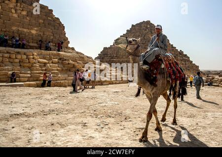A camel and rider move past the Pyramids of the Queens which adjoin the Pyramid of Khufu on the Giza plateau at Cairo in Egypt. Stock Photo