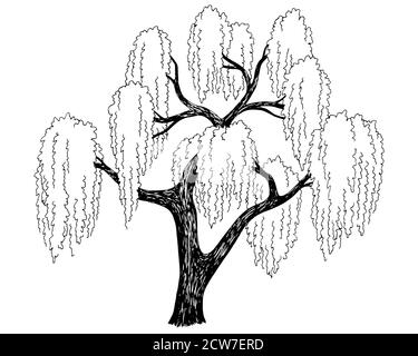 Tree Sketch Retro Illustration Vector One Big Tree Simple Freehand Pencil Drawing Editable Object Stock Vector Image Art Alamy
