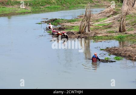 Jute Industry is one of the oldest industries in West Bengal. Nearly 40 ...