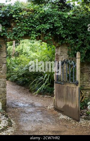 old wooden gate hanging on walled arch Stock Photo