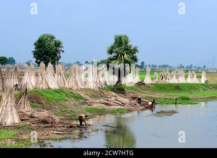 Jute Industry is one of the oldest industries in West Bengal. Nearly 40 ...