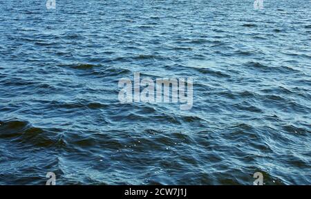 blue wavy water surface background Stock Photo