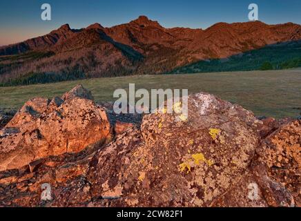 Lichens growing on rock in Seven Devils Mountains in Hells Canyon area at sunrise, Idaho, USA Stock Photo