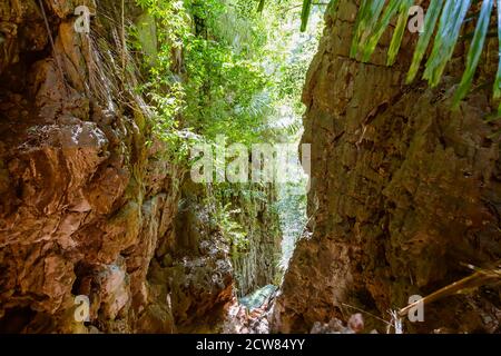 Gorge in the tropical mountains. Jungle, access to the lagoon on top of the cliffs of the Raleigh Peninsula. Stock Photo